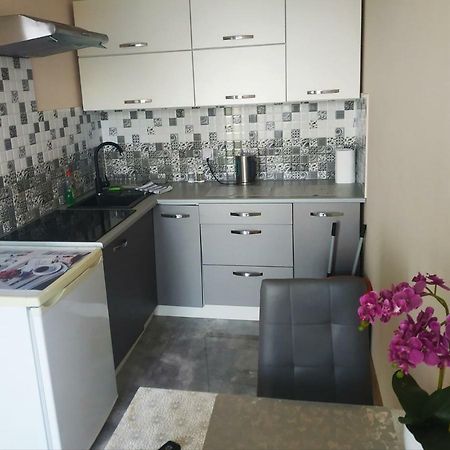 Oskar apartament Mińsk Mazowiecki Exteriör bild